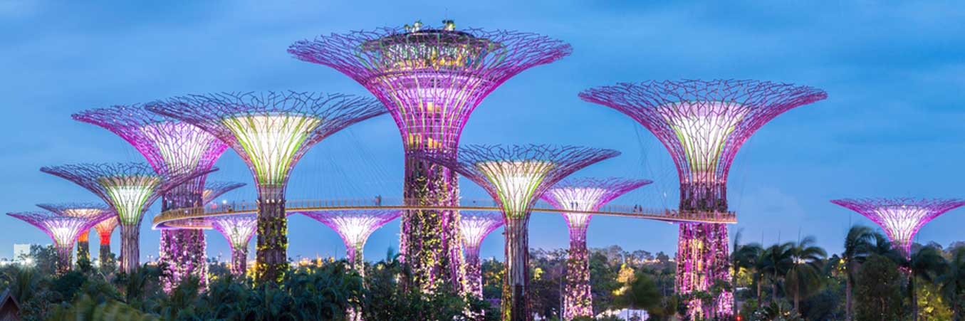 Medical Tourism in Singapore